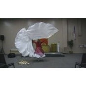 Julie Willis's photo