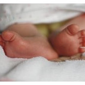Paula Boulanger's photo