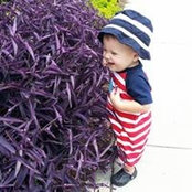 Amanda Northrup's photo