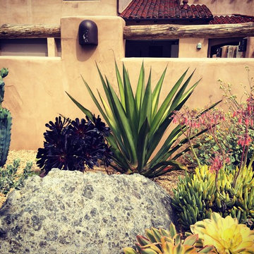 Planting Arrangements