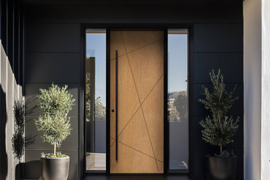 Entryway - entryway idea in Toronto