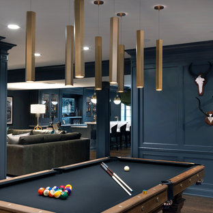 Photo of a large classic look-out basement in Chicago with grey walls, dark hardwood flooring, no fireplace and brown floors.