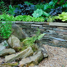 garden plantation