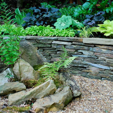 Woodland garden 1