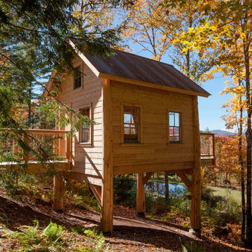 House in the trees