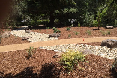 This is an example of a mid-sized country front yard shaded garden in Sacramento with a garden path and gravel.