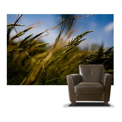 Photographic Casart Images - Wallpaper