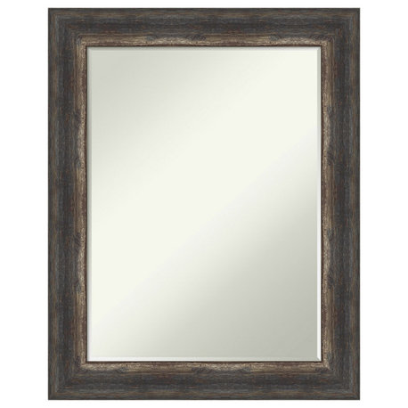 Bark Rustic Char Petite Bevel Wall Mirror 23 x 29 in.