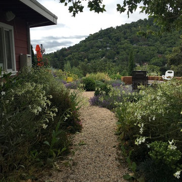 Fairfax modern agrarian garden