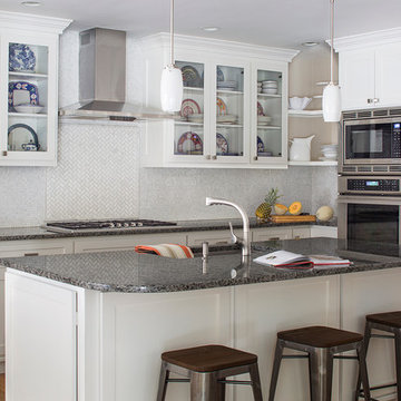 Chestnut Hill Renovation