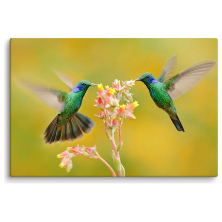 Hummingbirds Little Pink Flowers Animal / Wildlife Photo Canvas Wall Art Print, 12" X 16"