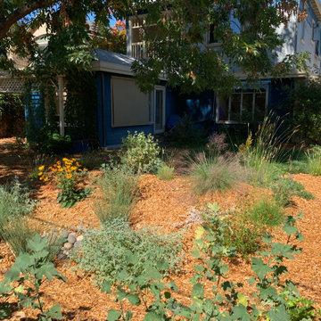 Hidden Rain Garden