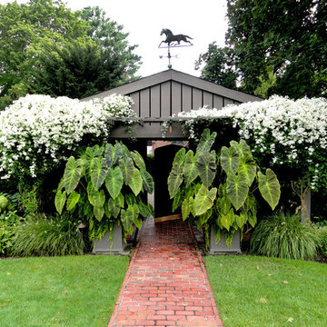 Container Planting Designs