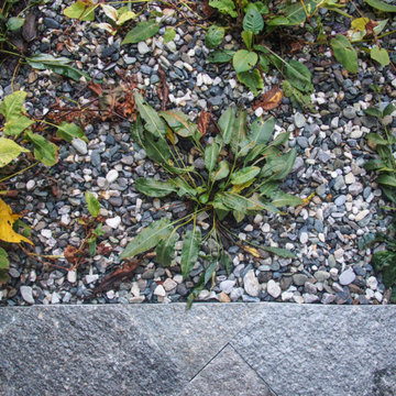 Il giardino rosso
