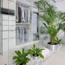 végétation intérieur