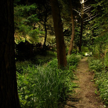 Woodlands Lighting