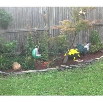 My Backyard