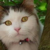 Foto von Beth Gretton