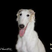 Janice Butkowsky's photo