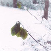 Sarah Jean's photo