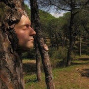 Алексей Стретовичさんの写真