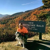 Brett Larsen's photo