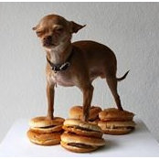 Lynn Arnolds foto