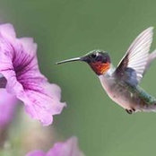Denise Bilan's photo