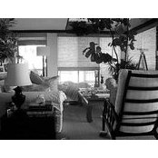 Mackenzie Rosen's photo