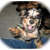 Foto di Verlee Deana Norris Jenkins