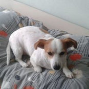 Foto von Berry Lolia