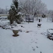 Mary Stinnett's photo