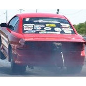 Dave Guy's photo