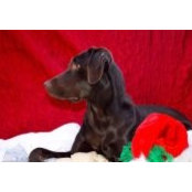 Kate Eichenberger's photo