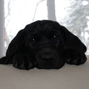 Kevin Plut's photo