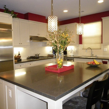 Elegant Home Renovation