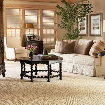 Traditional, Sophisticated Living Room