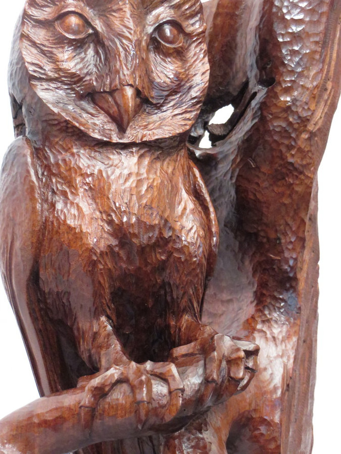 DETAIL: Albert A. BarnOwl