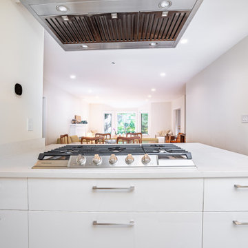 Open Concept Kitchen and Living Space with Structural Wall Removal – Kerrisdale