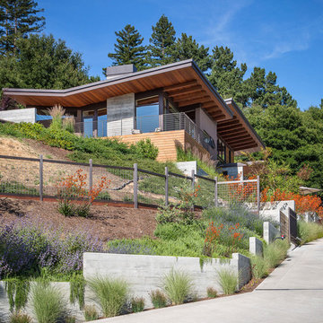 Driveway View