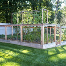 garden ideas