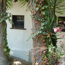 Hollywood &ndash; Historic Renovation - Windows