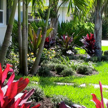 Garden Ideas for Patio