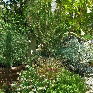 Brentwood Backyard Transformation