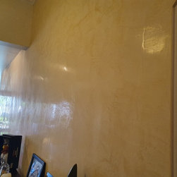 Venetian Plaster Italian Finishes - Products