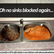 Sink blockage issues