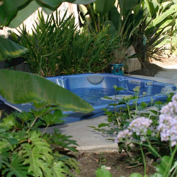 Water Features