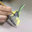 JAMEITE Hand-painted Silk Wallpaper Co., LTD