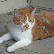 Sandy Schoenecker's photo