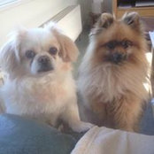 Mandy Page's photo
